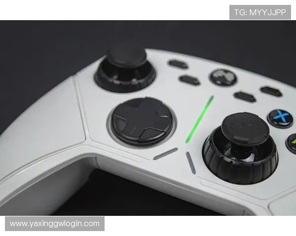 亚星娱乐网站安全可靠保障用户隐私多重防护系统为你的游戏体验保驾护航畅享放心娱乐时光