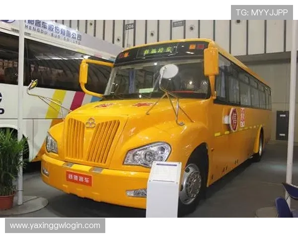 亚星游戏官网登录333操作指南与常见问题解答大全