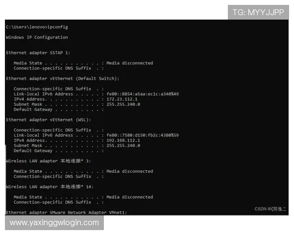 亚星管理平台 cmd3:安全保障措施与数据保护策略分析 亚星管理平台 cmd3:安全保障措施与数据保护策略分析