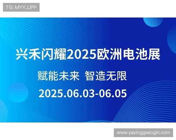 亚星222手机在线验证常见问题及解决方案，提升您的验证效率