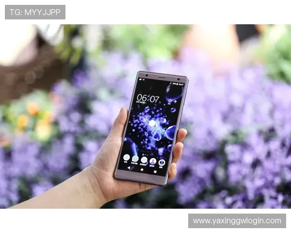 亚星智能官方网站首页展示的创新产品如何满足不同客户的多样需求